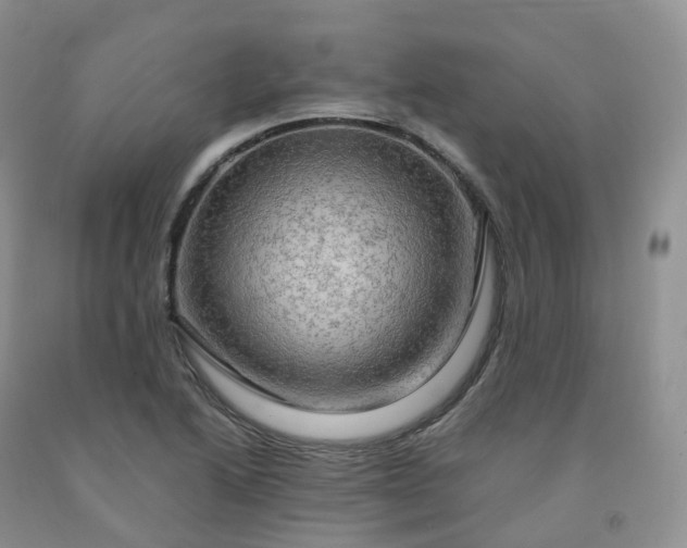 X0000092001222200709201502