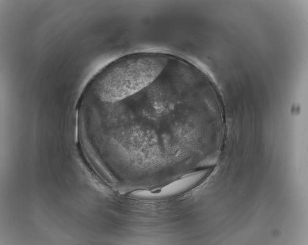 X0000092001223200709201502