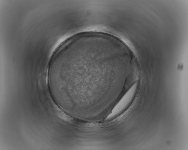 X0000092001224200709201502