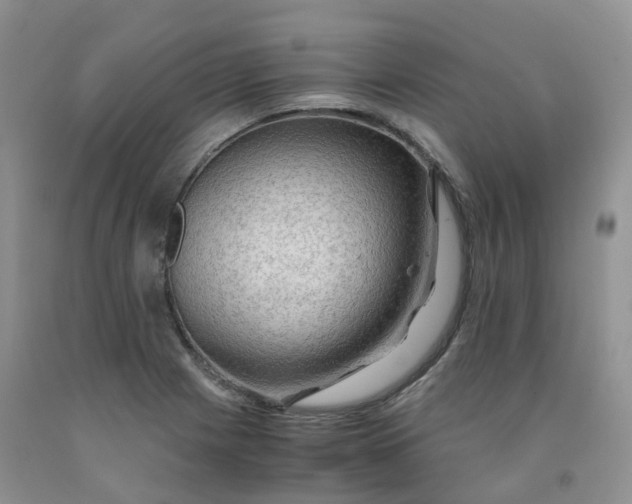 X0000092001225200709201502