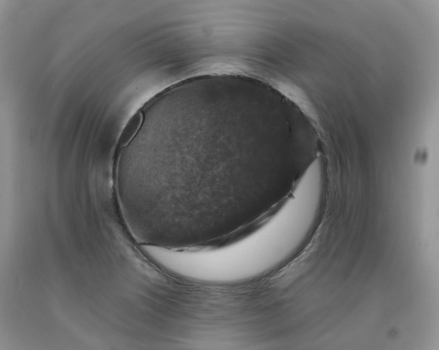 X0000092001226200709201502