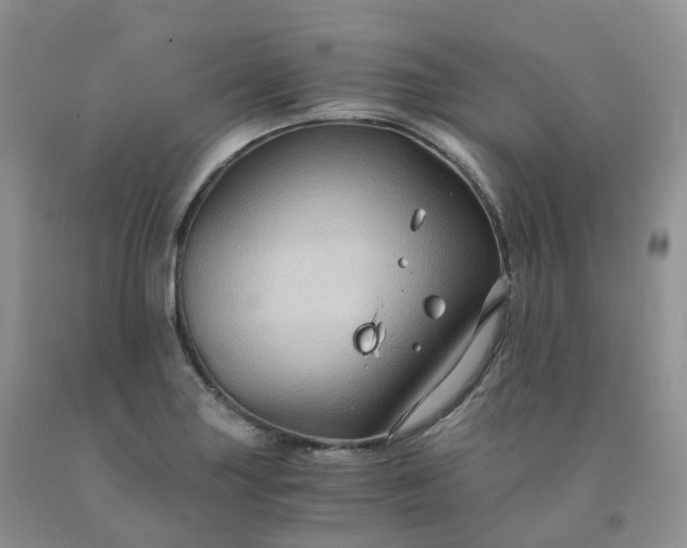 X0000092001227200709201502