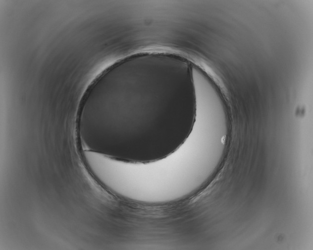 X0000092001229200709201502