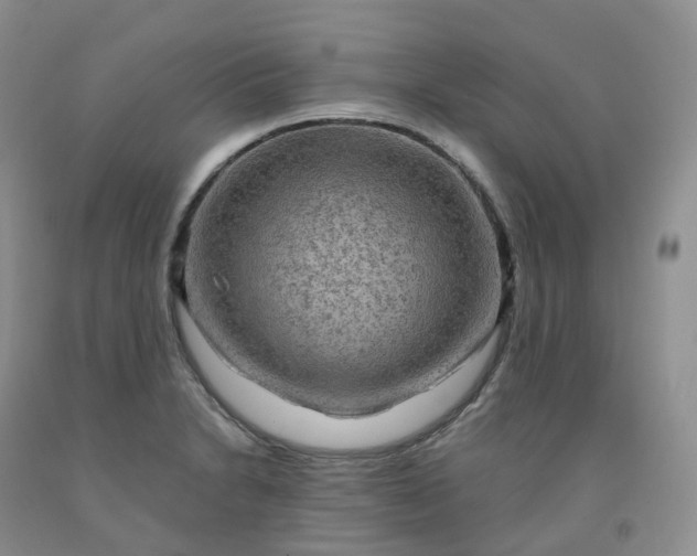 X0000092001230200709201502