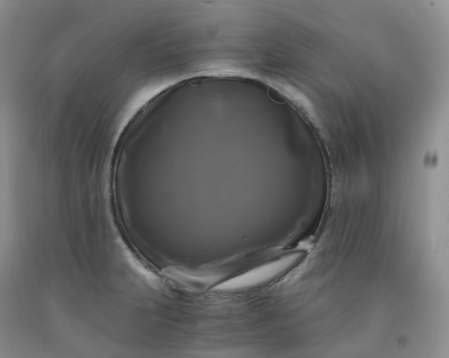 X0000092001231200709201502