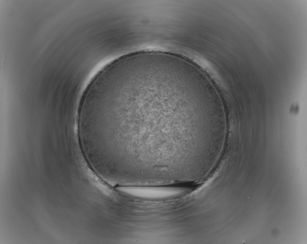 X0000092001232200709201502