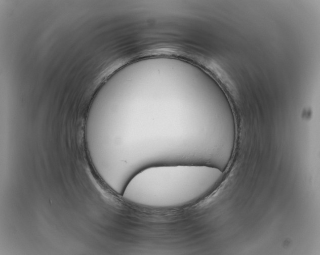 X0000092001233200709201502