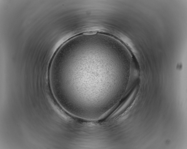 X0000092001234200709201502