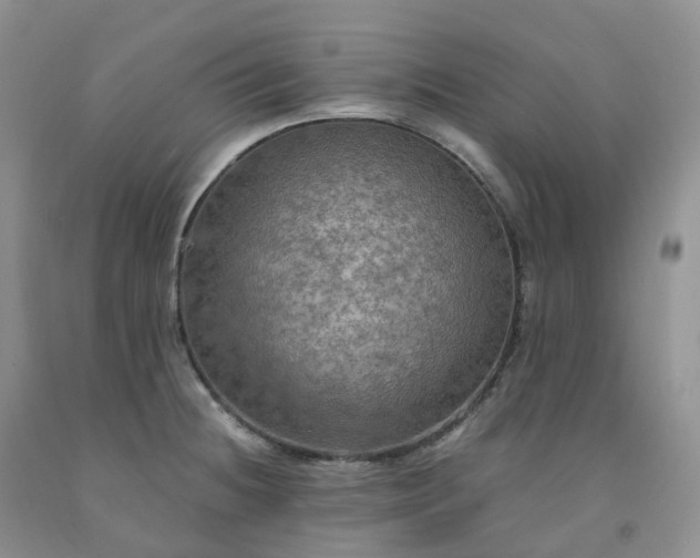 X0000092001236200709201502