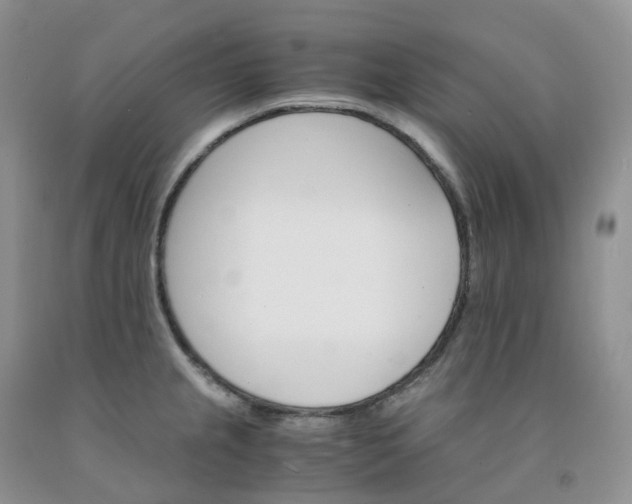 X0000092001237200709201502