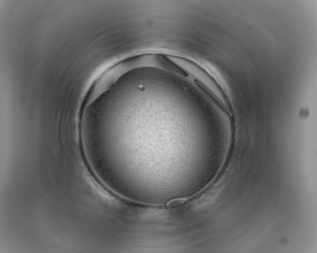 X0000092001238200709201502