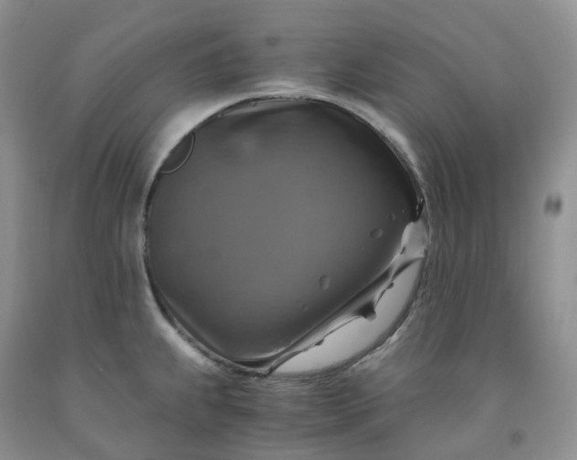 X0000092001239200709201502