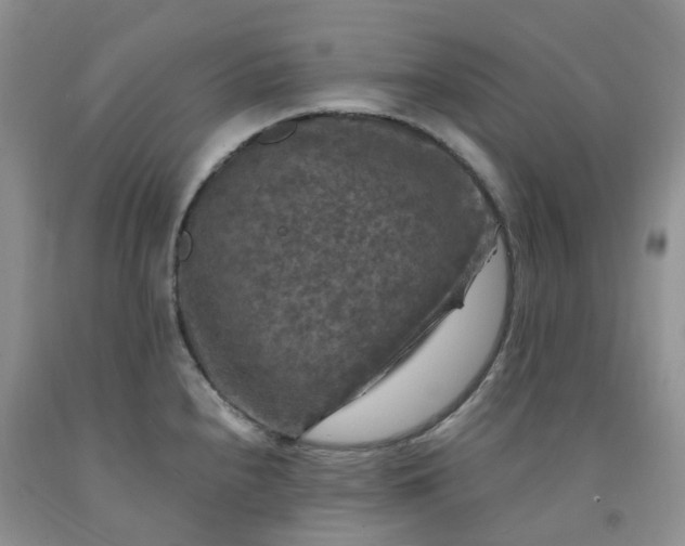 X0000092001240200709201502