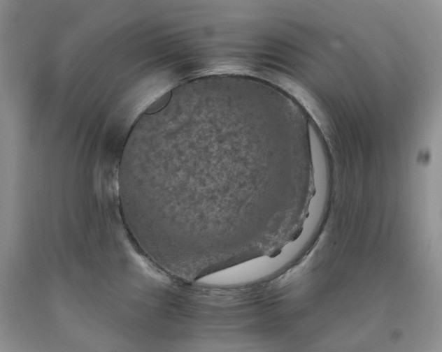 X0000092001241200709201502