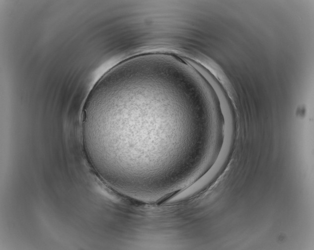 X0000092001242200709201502