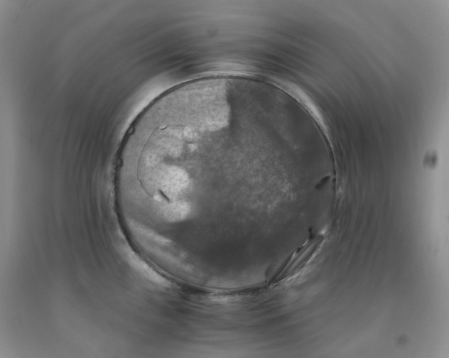 X0000092001243200709201502