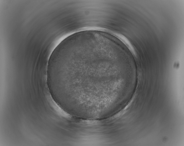 X0000092001244200709201502