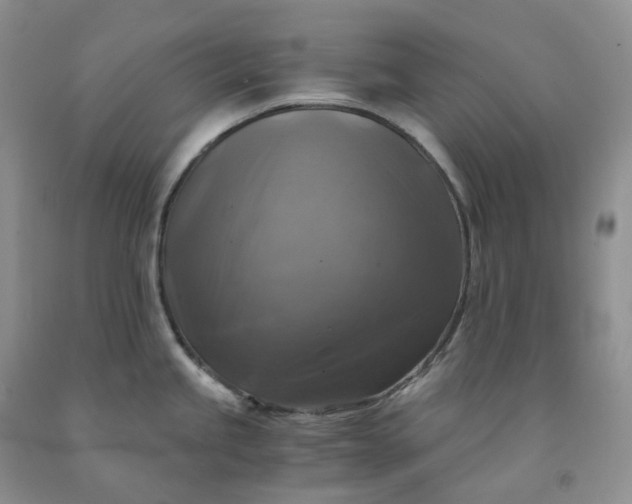 X0000092001245200709201502