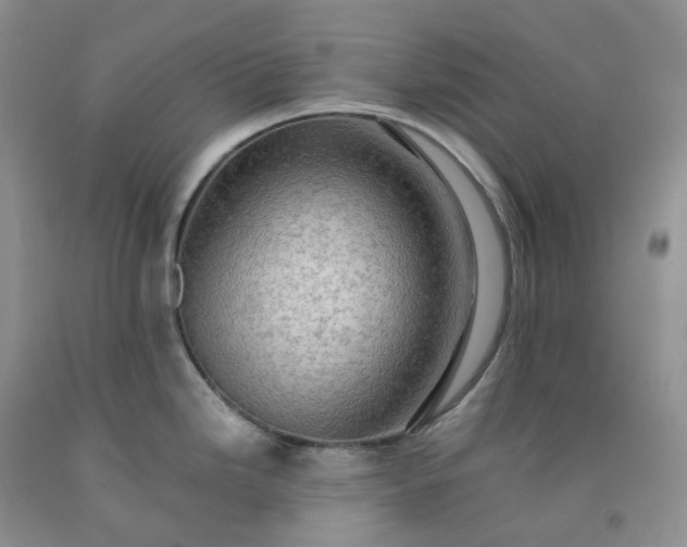 X0000092001246200709201502