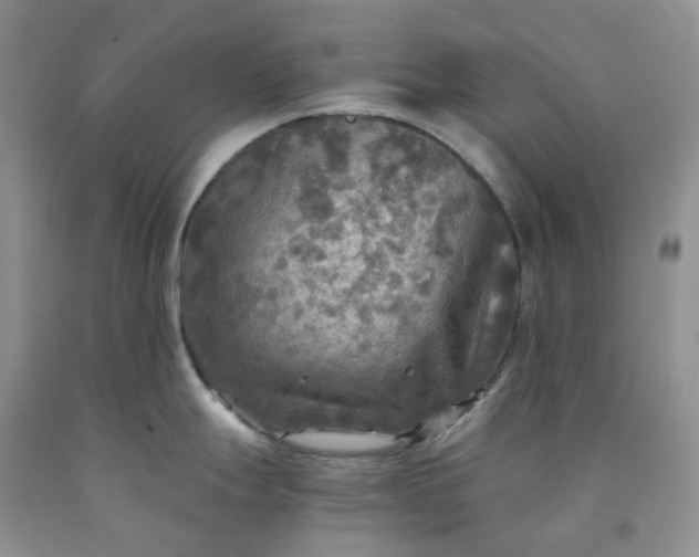 X0000092001247200709201502