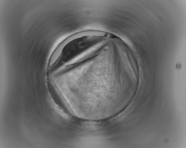 X0000092001248200709201502