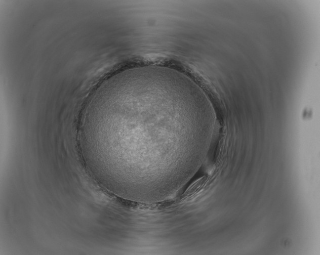 X0000092001249200709201502