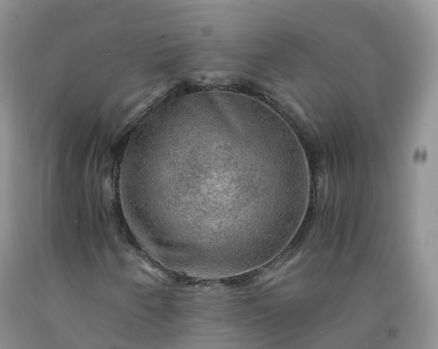 X0000092001250200709201502