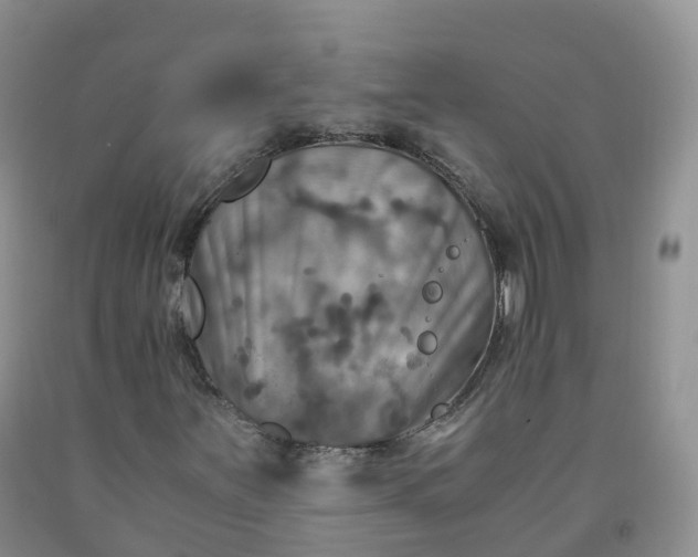 X0000092001251200709201502