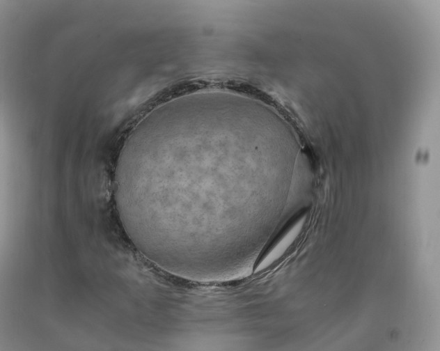 X0000092001253200709201502