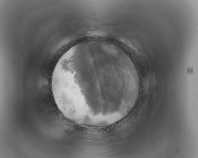 X0000092001254200709201502