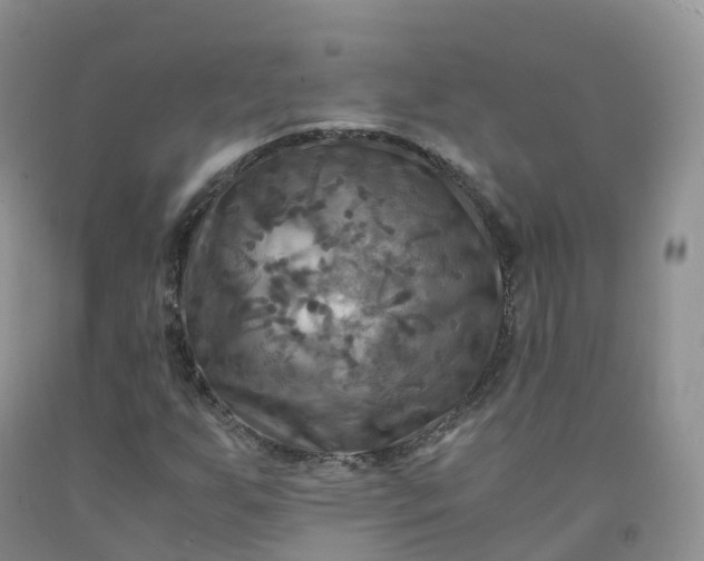 X0000092001255200709201501