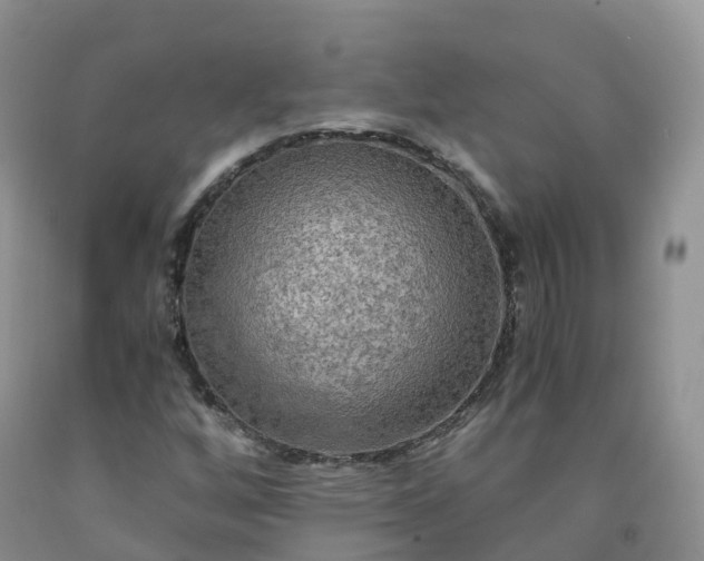 X0000092001256200709201501