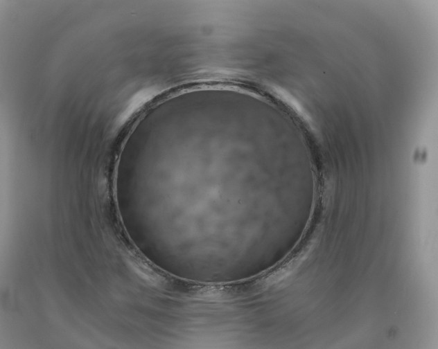 X0000092001259200709201501