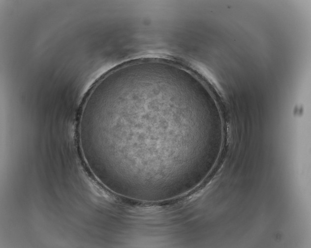 X0000092001260200709201501