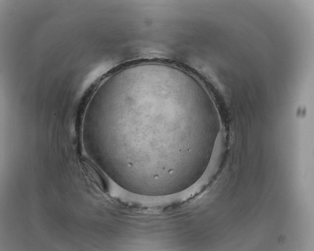 X0000092001261200709201501