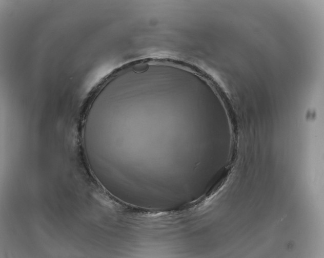 X0000092001263200709201501