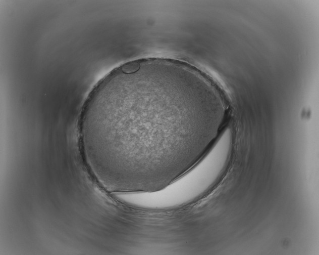 X0000092001264200709201501