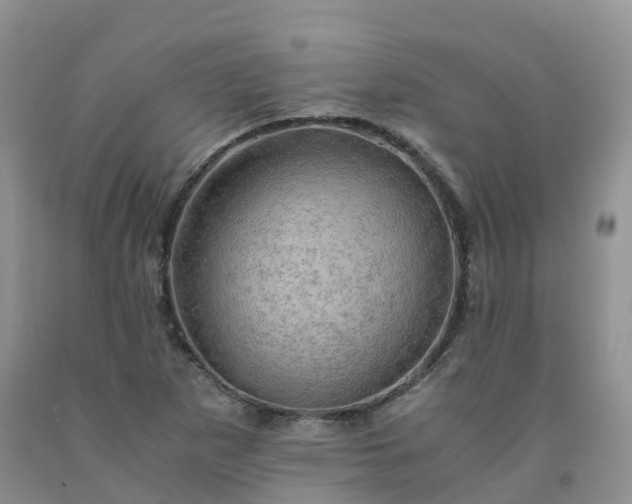 X0000092001265200709201501