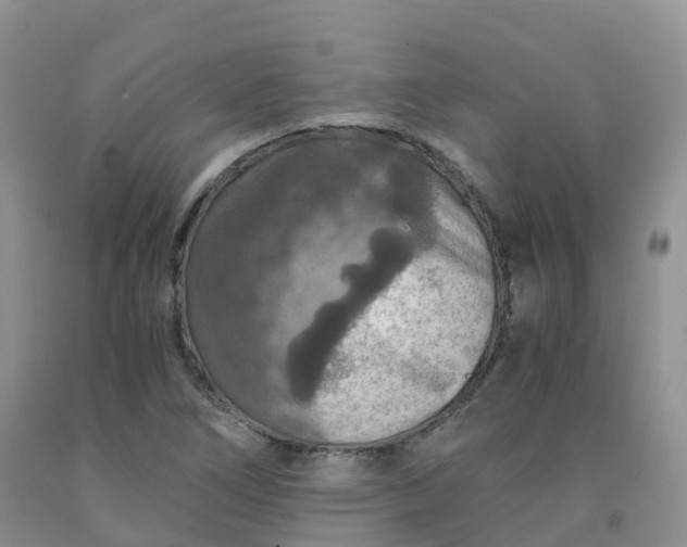 X0000092001266200709201501