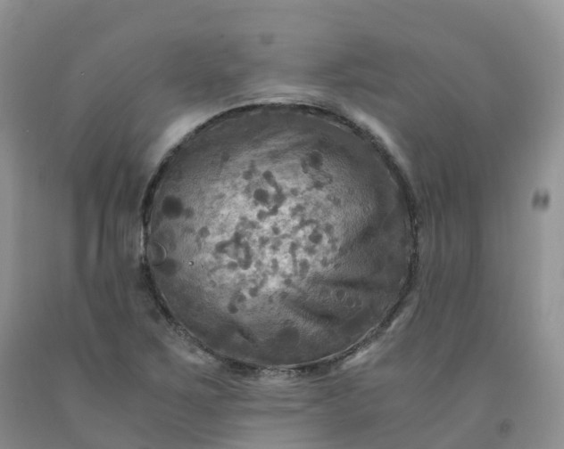 X0000092001267200709201501