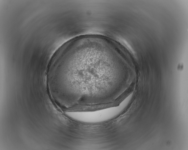 X0000092001268200709201501