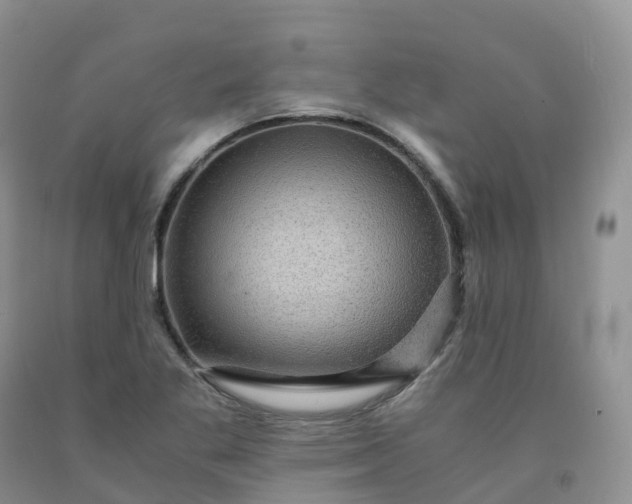 X0000092001269200709201501