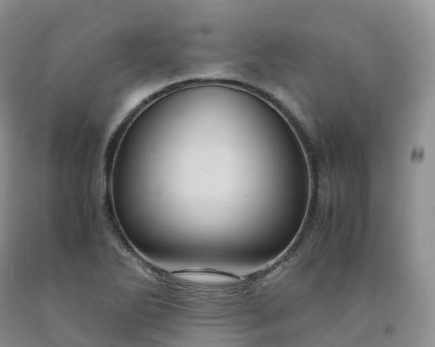 X0000092001270200709201501