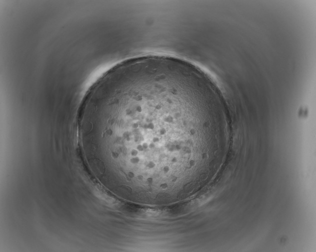 X0000092001271200709201501