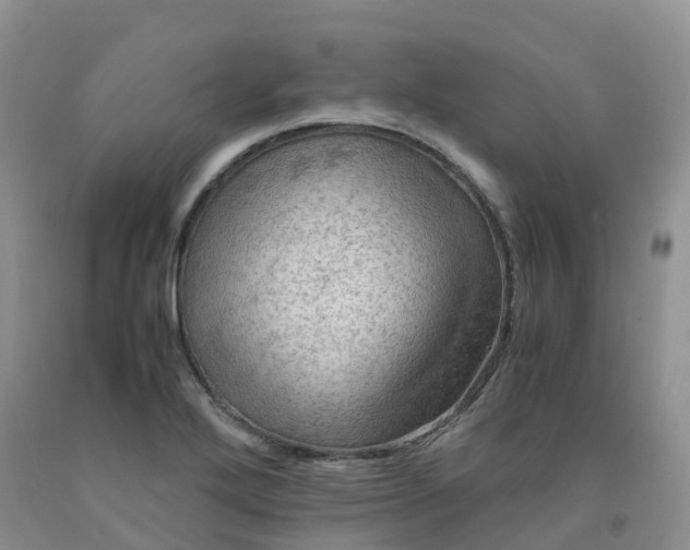 X0000092001272200709201501