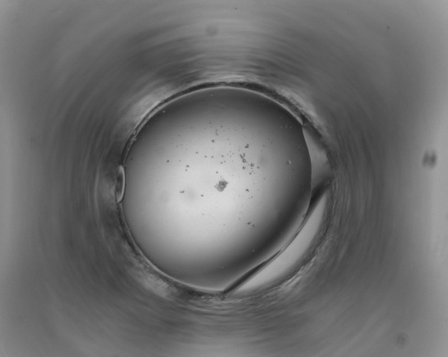 X0000092001273200709201501