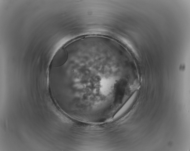 X0000092001275200709201501