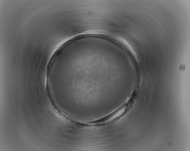 X0000092001276200709201501