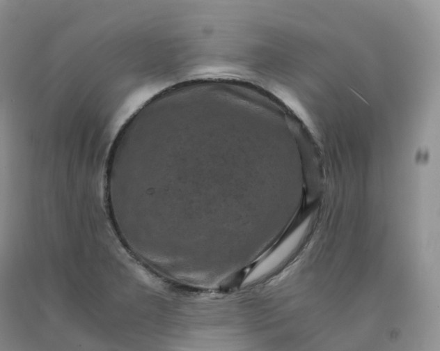 X0000092001277200709201501