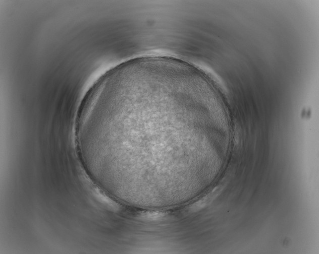 X0000092001278200709201501